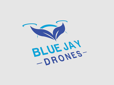 Blue Jay Drones design flat icon illustration illustrator logo design logos minimal modern vector