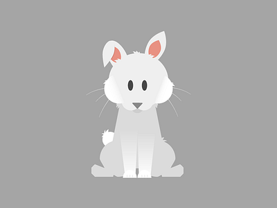 Bunny animal bunny illustration rabbit