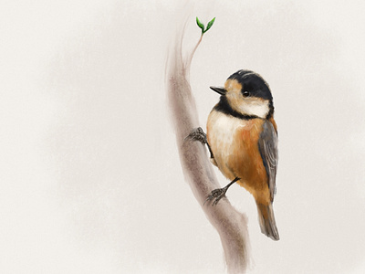 Perched bird digitalpainting illustration perch procreate tree