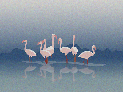 Flamingos artwork edition fauna flamant rose flamingos flat flat design illustration illustrator minimal design nature illustration press vector illustration