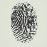 Mohamed Abd El-Samie