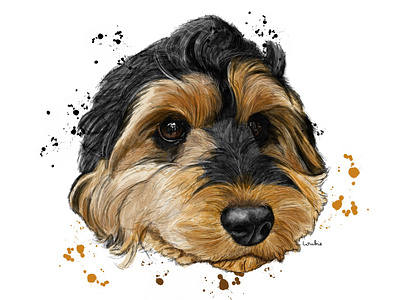 Cocker poo digital illustration digitalart dogportrait illustration mansbestfriend procreate puppy