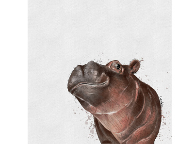 Baby Hippo baby animals book illustration character design digital illustration digitalart hippo illustration kids illustration nursery procreate