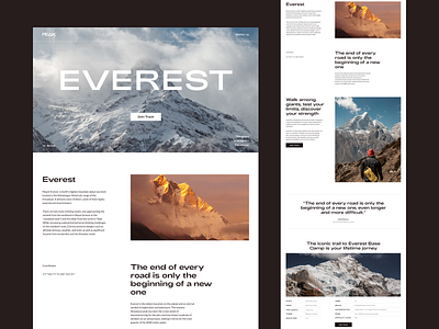 Everest | Landing page dailyui design everest first screen landing page tours tracks travel agency travel tours ui webdesign
