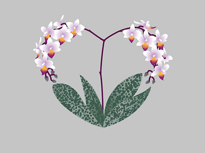 Love Botanicals No. 4 Phaleonopsis Orchid botanicals flowers hearts love valentines vector