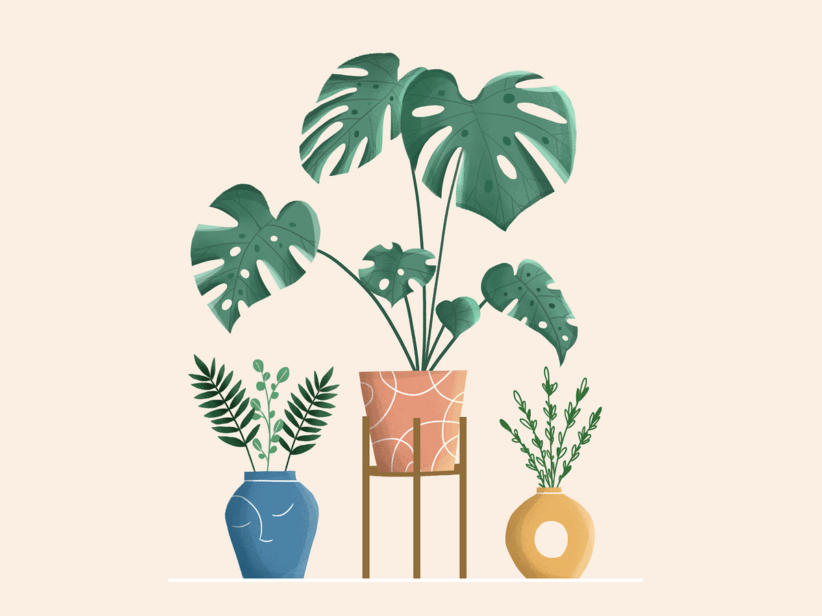 Plants by Lolita Calistru on Dribbble