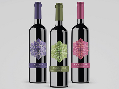 Succulent Wine branding design graphic design illustration package design wine