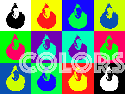 Pop Art color color art design illustration pop pop art