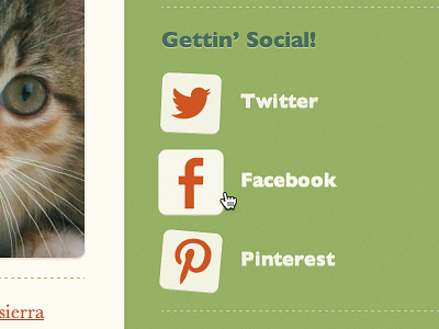 Social Links facebook icons pinterest twitter web design