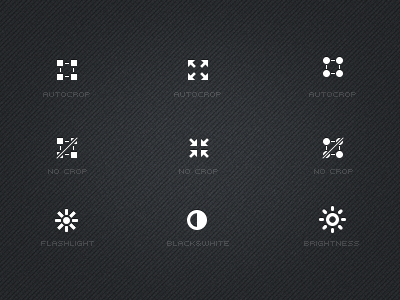 Image Editing Icons auto crop black and white brightness crop flashlight iphone no crop toolbar