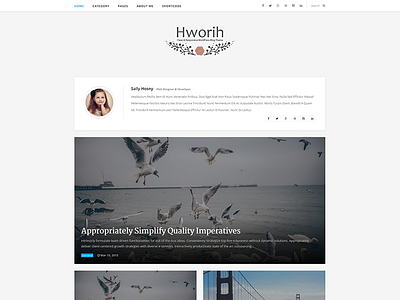 Hworih - Clean & Responsive WordPress Blog Theme blog clean personal responsive theme webdesign wordpress