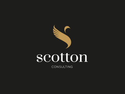 Scotton @chilli consulting finance gold logo scotton swan