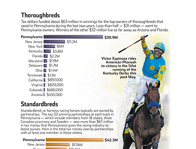 Thoroughbred and Standardbred Horses in Pennsylvania design graph illustrator information graphics photoshop