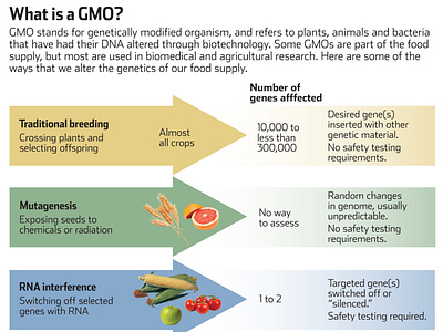 What is a GMO?