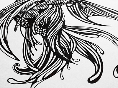 Fish animal fish illustration ink