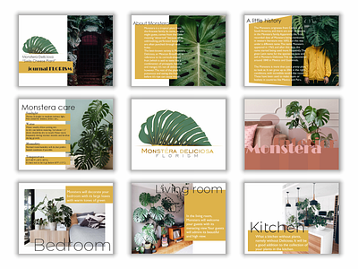 Monstera Deliciosa: "Swees Cheese Plant" branding catalog design design graphicdesign journal logo logotype typography