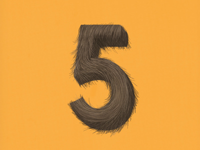 5 5 five hair illustration