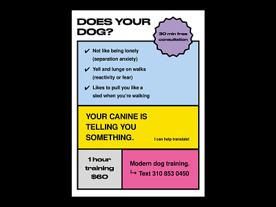 My dog training side hustle bold branding brutal brutalism brutalist colorful dog dog training geometric poster