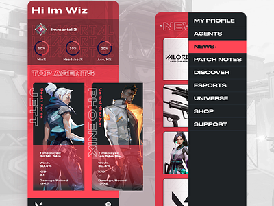 Valorant Player Tracker Apps Design