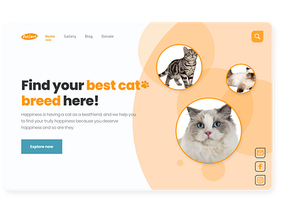 #DailyUI 003 caring cats concept daily100challenge dailyui design figmadesign landingpage pets photoshop simple simple logo soft uidesign webdesign