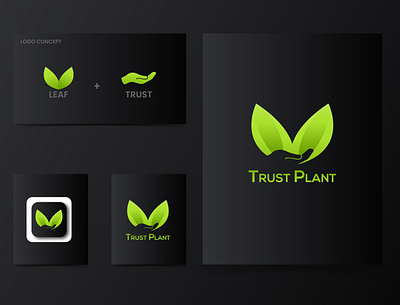 Trust Plant Logo Design brand design branding design graphic design illustration leaf logo logo logo design minimal minimalist logo natural logo sahinurrahman24 trust leaf logo trust plant trust plant logo