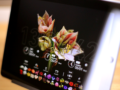 Bloomclock HD (iPad App) bloom bloomclock clock flower ipad time timelapse