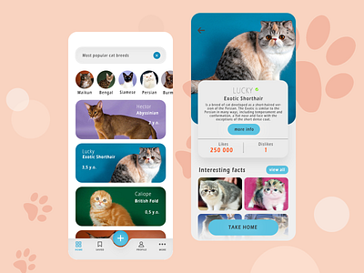 FIND YOUR CAT MOBILE APP