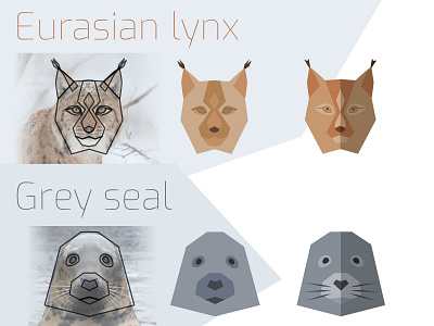 Endangered species of Poland animal icon icon set illustration lynx seal vector