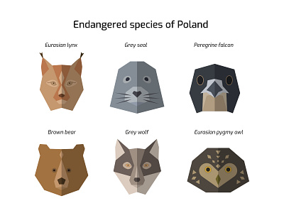 Endangered species icon set animal bear hawk icon set illustration lynx owl seal vector wolf
