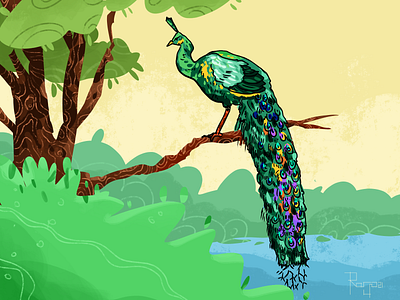Illustration of Peacock alphabet art book children design digitalart draw illustration peacock ui