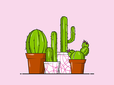 Flat Vector Illustration Series cacti cactus cactus flower design flat flat illustration flowerpot garden graphicdesign green inspiration pink plants prickly vector