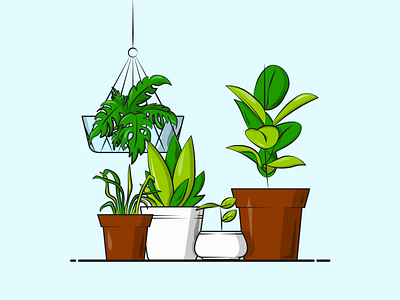 Flat Vector Illustration Series designer flower pot garden graphicdesign green hang happy home plants illustrative leaf plants sap squad vector water