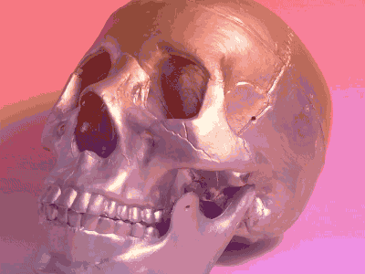 Skull 2