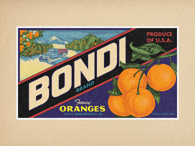 Bondi Produce canada chiseltype design fruit handtype label orange producelabel toronto vintage vintagelabel vintagetype