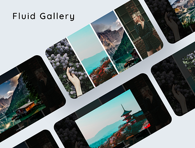 Fluid Gallery beautiful gallery grid html css js photo smooth transition web