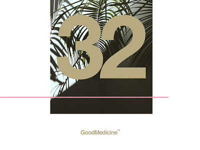 Good Medicine Vol 32 album artwork gold music palm trees pink shadows