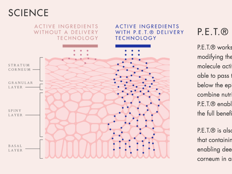 Sesha Skin Therapy Illlustration illustration diagram science skin