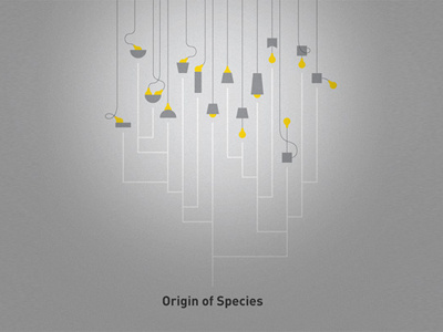 Origin of Species chart gradient illustration lighting product design taxonomy