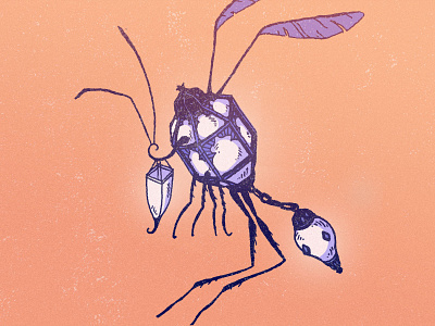 Lumine wasp