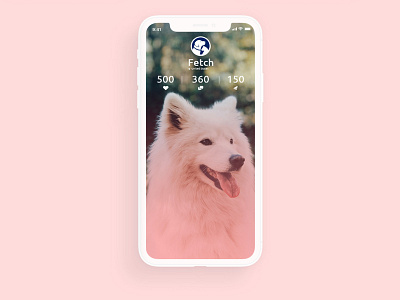 Fetch - Pet Marketplace App Design