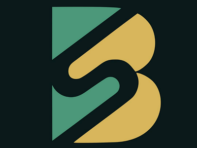 BS LOGO