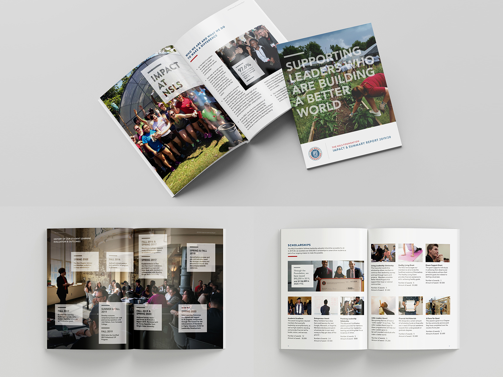 NSLS Foundation Report by Mark McGeoch on Dribbble