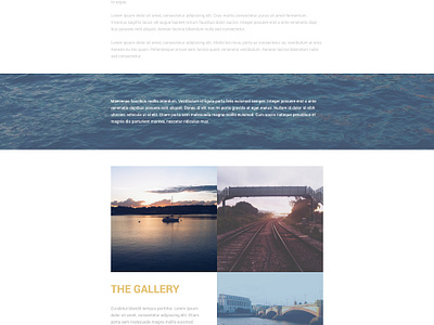 Generic Website Template by Mitch Jackson on Dribbble