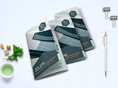 Trifold Business Brochure