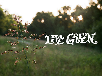 Live Green film green hand drawn hand lettering nature photography sunset type typography