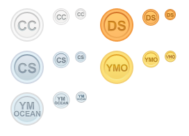 RYA Qualification Icons