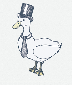 Sensible Duck logo