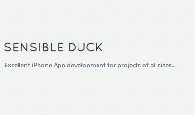 Title and tagline from Sensible Duck site design grey texture website white