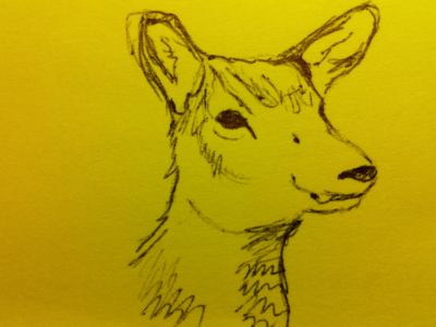 Lady Elk on PostIt Note elk sketch yellow