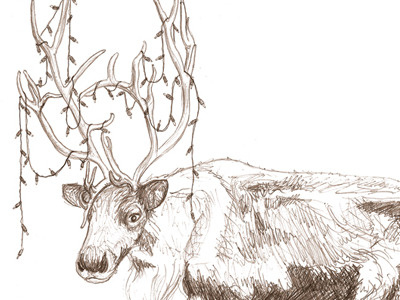 More Christmassy? biro christmas drawing reindeer sketch